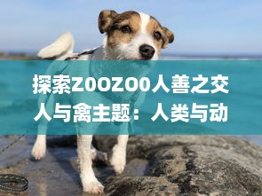 探索Z0OZO0人善之交人与禽主题：人类与动物之间互动的深度立体观察 v5.2.2下载