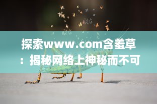 探索www.com含羞草：揭秘网络上神秘而不可思议的自然奇观 v3.7.5下载