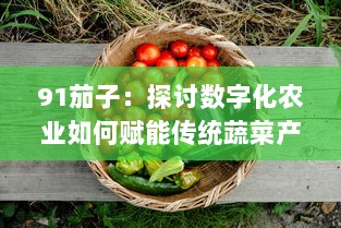 91茄子：探讨数字化农业如何赋能传统蔬菜产业提升品质与效率