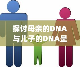 探讨母亲的DNA与儿子的DNA是否完全相同：遗传学与家庭关系的精细解读