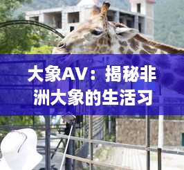 大象AV：揭秘非洲大象的生活习性和动态，展示野性世界的精彩画面 v1.2.7下载