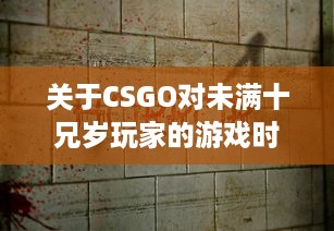 关于CSGO对未满十兄岁玩家的游戏时间限制：能玩多久及其潜在影响 v0.4.2下载