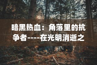 暗黑热血：角落里的抗争者----在光明消逝之后，血脉中的热情再燃斗志之火