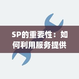 SP的重要性：如何利用服务提供商（Service Provider）有效提高业务运营效率 v8.9.2下载