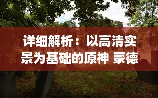 详细解析：以高清实景为基础的原神 蒙德地灵龛全区域分布位置导览图