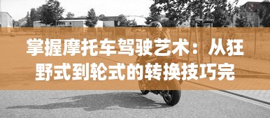 掌握摩托车驾驶艺术：从狂野式到轮式的转换技巧完全解析和实践指南 v0.0.8下载