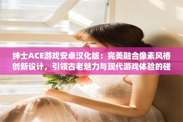 绅士ACE游戏安卓汉化版：完美融合像素风格创新设计，引领古老魅力与现代游戏体验的碰撞 v2.1.5下载