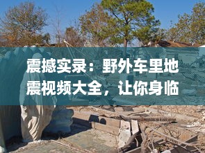 震撼实录：野外车里地震视频大全，让你身临其境体验自然界的惊心动魄 v7.1.4下载