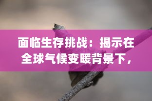 面临生存挑战：揭示在全球气候变暖背景下，动植物为了第一生存的适应策略和生态平衡问题