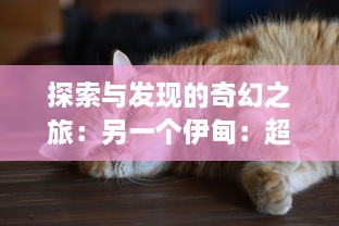 探索与发现的奇幻之旅：另一个伊甸：超越时空的猫 的神秘世界与独特魅力