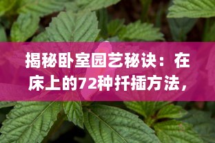 揭秘卧室园艺秘诀：在床上的72种扦插方法，让你的植物生长更茂盛 v5.5.8下载