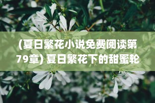 (夏日繁花小说免费阅读第79章) 夏日繁花下的甜蜜轮廓：一段跨越四季的Summer爱情故事