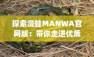 探索漫蛙MANWA官网版：带你走进优质漫画和插画艺术的创作天地 v9.6.5下载