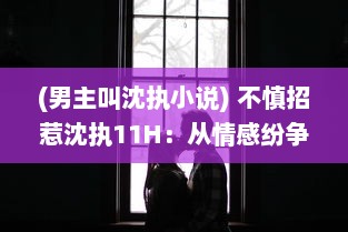 (男主叫沈执小说) 不慎招惹沈执11H：从情感纷争到深入揭秘他的不为人知的彩色人生