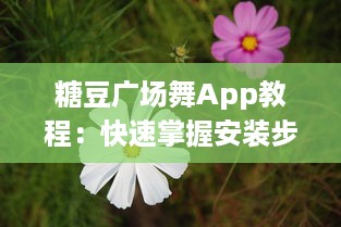 糖豆广场舞App教程：快速掌握安装步骤，轻松设置手机桌面，随时随地跳起来 v1.3.5下载