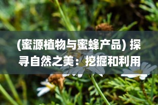 (蜜源植物与蜜蜂产品) 探寻自然之美：挖掘和利用蜜源的多种可能性和环保实践