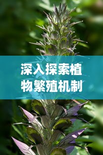 深入探索植物繁殖机制：扒开腿挺进湿润的花苞高清视频展示 v8.9.8下载