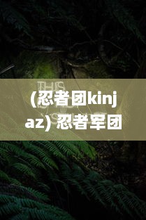 (忍者团kinjaz) 忍者军团的成长历程：从秘密暗影到主宰战场的无声刺客