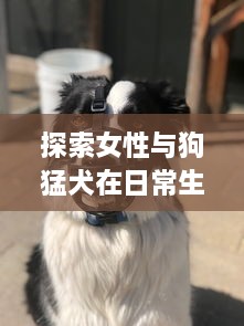 探索女性与狗猛犬在日常生存环境中交流的平衡：以实验为基础的69种独特交互视角解析 v9.2.4下载