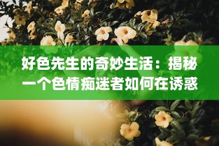 好色先生的奇妙生活：揭秘一个色情痴迷者如何在诱惑中保持理智与道德