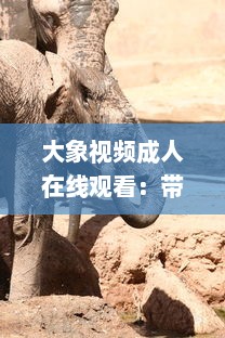 大象视频成人在线观看：带你领略多元化娱乐新体验，探索丰富多彩的成人教育视界 v5.9.9下载