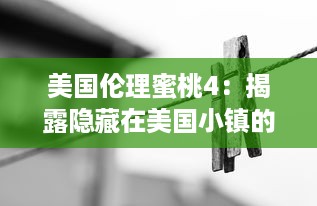 美国伦理蜜桃4：揭露隐藏在美国小镇的复杂人性和激烈情感的深度剖析