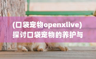 (口袋宠物openxlive) 探讨口袋宠物的养护与繁育：打造健康俏皮的亲密小伙伴