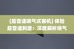 (超音速喷气式客机) 体验超音速刺激：深度解析喷气式战机的强大火力与精准射击