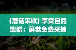 (蘑菇采收) 享受自然馈赠：蘑菇免费采摘活动，体验亲近大自然的乐趣