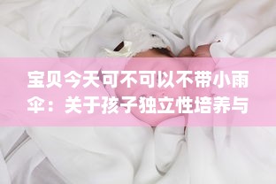 宝贝今天可不可以不带小雨伞：关于孩子独立性培养与环境适应力的深度探讨 v0.1.1下载