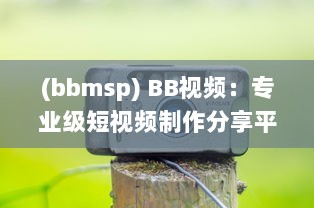 (bbmsp) BB视频：专业级短视频制作分享平台，开启你的创作与分享之旅