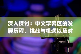 深入探讨：中文字幕区的发展历程、挑战与机遇以及对全球影视产业的影响