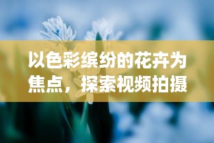 以色彩缤纷的花卉为焦点，探索视频拍摄技巧提升视觉冲击力的4个实用技巧