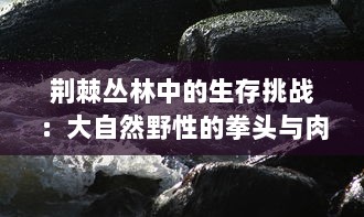 荆棘丛林中的生存挑战：大自然野性的拳头与肉体的殊死肉搏 v5.5.4下载