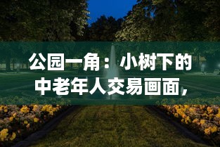 公园一角：小树下的中老年人交易画面，揭示城市生活中不为人知的一面图片集展示 v1.6.7下载