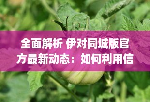 全面解析 伊对同城版官方最新动态：如何利用信息优势获得最大效益 v3.8.3下载