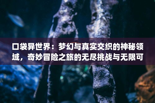 口袋异世界：梦幻与真实交织的神秘领域，奇妙冒险之旅的无尽挑战与无限可能