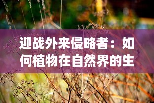 迎战外来侵略者：如何植物在自然界的生存竞争中展开独特的保卫战