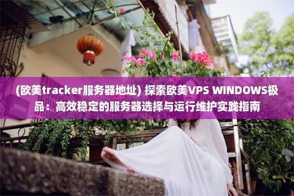 (欧美tracker服务器地址) 探索欧美VPS WINDOWS极品：高效稳定的服务器选择与运行维护实践指南