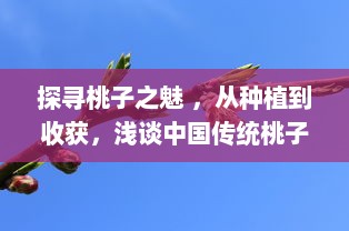 探寻桃子之魅 ，从种植到收获，浅谈中国传统桃子文化与现代桃子产业发展 v1.3.1下载