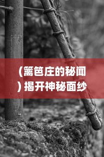 (篱笆庄的秘闻) 揭开神秘面纱：篱笆庄历史悬案与惊人秘闻深度剖析