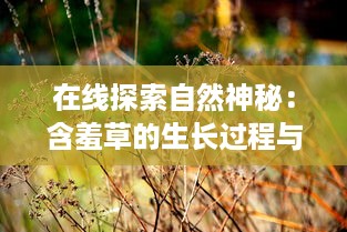 在线探索自然神秘：含羞草的生长过程与科学解读 v3.4.2下载