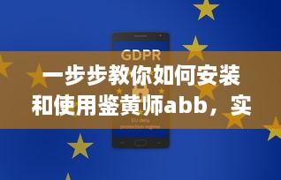 一步步教你如何安装和使用鉴黄师abb，实现网络环境的自我保护和管理