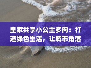 皇家共享小公主多肉：打造绿色生活，让城市角落水儿润，无处不显生机 v1.3.5下载