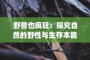 野兽也疯狂：探究自然的野性与生存本能在现代社会的表现及影响