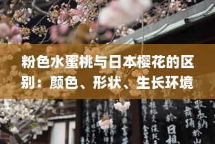 粉色水蜜桃与日本樱花的区别：颜色、形状、生长环境和文化象征解析 v9.1.4下载