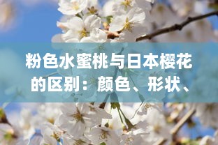 粉色水蜜桃与日本樱花的区别：颜色、形状、生长环境和文化象征解析 v9.1.4下载