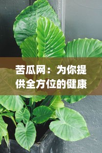 苦瓜网：为你提供全方位的健康饮食指导，助力绿色生活方式的倡导和推广