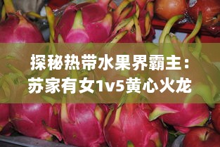 探秘热带水果界霸主：苏家有女1v5黄心火龙果，带你领略独特魅力 v3.1.7下载