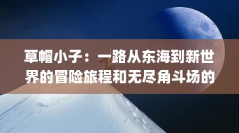 草帽小子：一路从东海到新世界的冒险旅程和无尽角斗场的传奇挑战